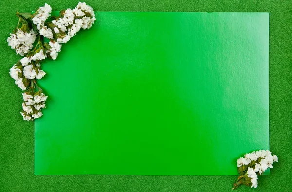 緑のグリーティング カード — ストック写真
