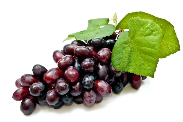 Friske druer - Stock-foto