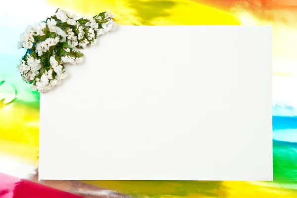 Bílá kniha prázdné s květinami — Stock fotografie