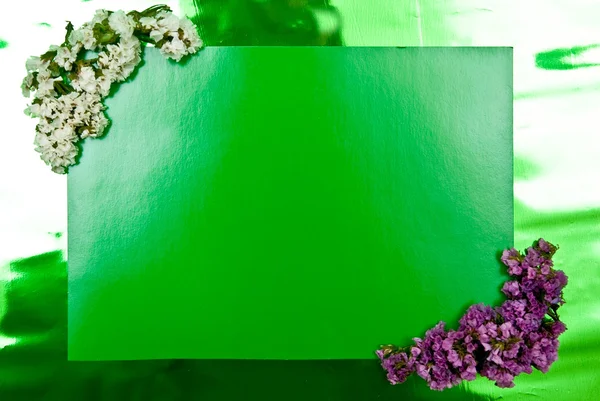 Зелений Вітальна листівка — стокове фото