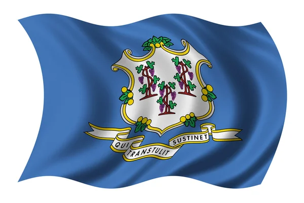 코네티컷의 국기 — 스톡 사진