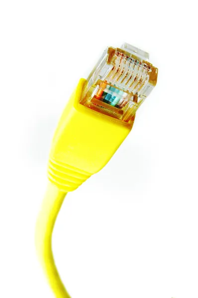 stock image Ethernet cable