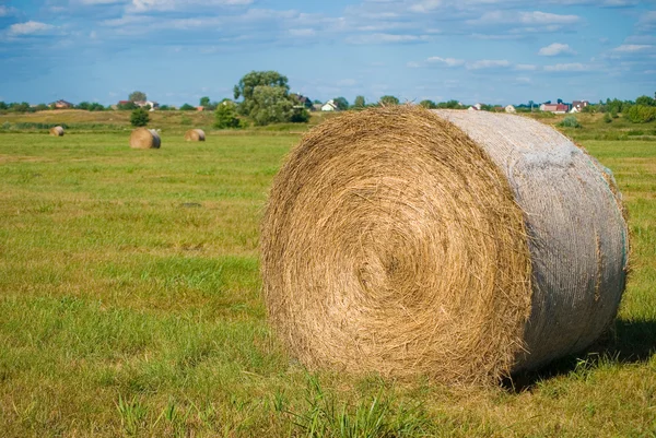 stock image Haystack