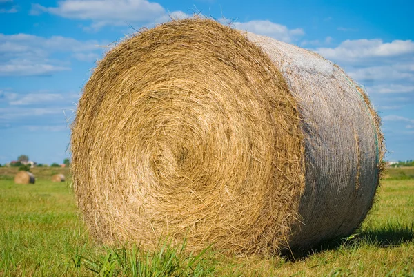 stock image Haystack