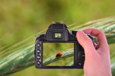 Elindeki dijital fotoğraf makinesi