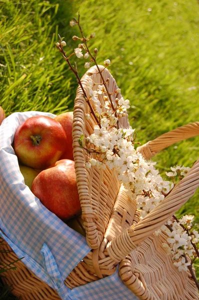 stock image Picnic basket