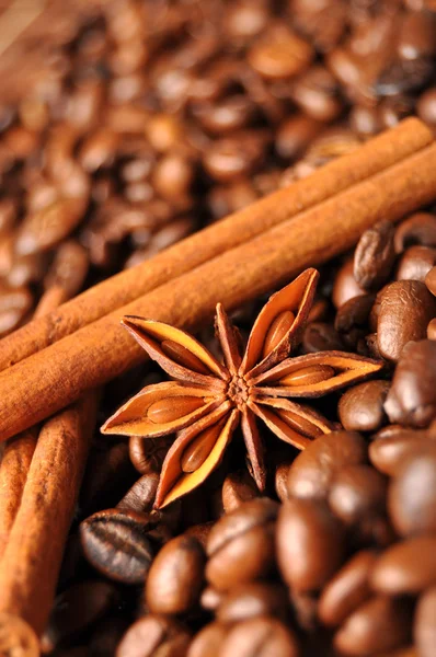 Anise, cinnamon and coffee — Stock Photo, Image