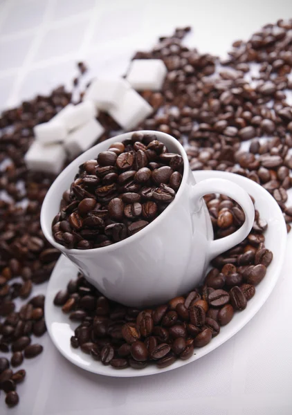 커피 열매 가득 한 잔 — 스톡 사진
