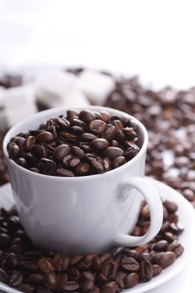 Csésze tele kávébab — Stock Fotó