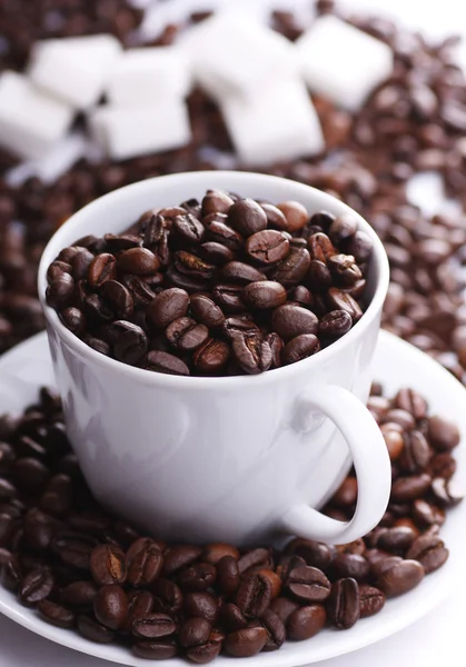 Csésze tele kávébab Stock Kép