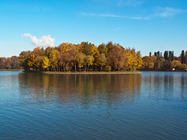 stock image Autumn Park