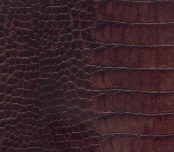 stock image Brown crocodile leather texture