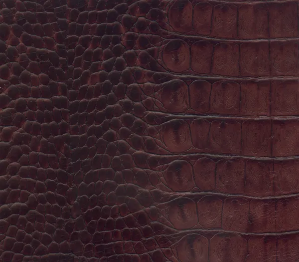 Stock image Brown crocodile leather texture