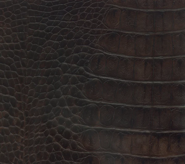 stock image Crocodile leather texture