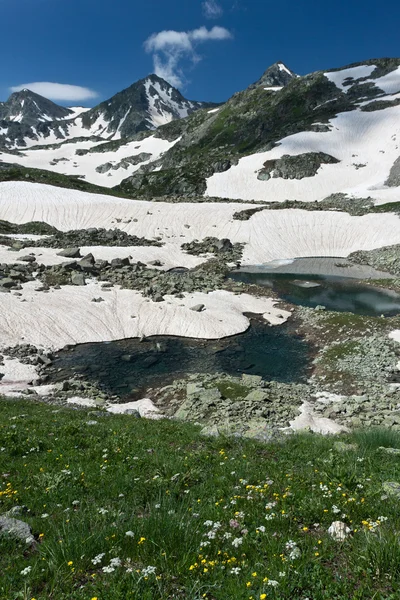 Berglandschaft mit kristallklarem Fluss. — Stockfoto