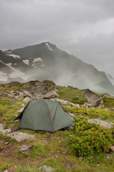 Зеленая палатка для кемпинга на солнечных лугах . — стоковое фото