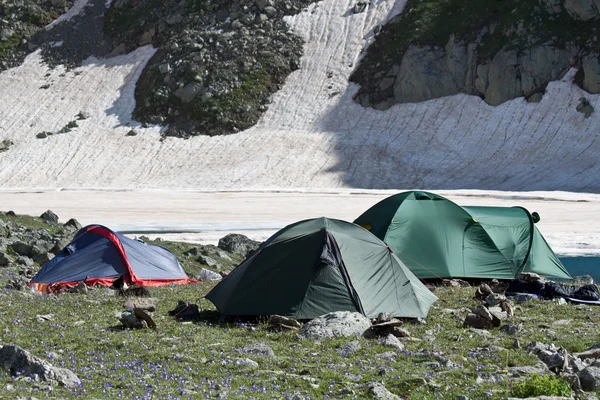 Camping tenten op zonnige grasland. — Stockfoto
