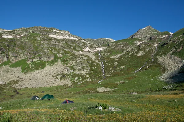 Tentes de camping sur prairies ensoleillées . — Photo