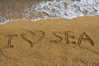 I love the sea. clipart