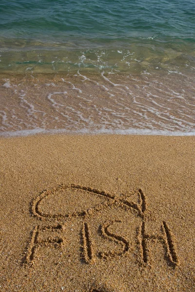 Een symbool van de vis in het zand getrokken — Stockfoto