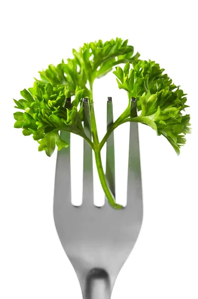 stock image Parsley