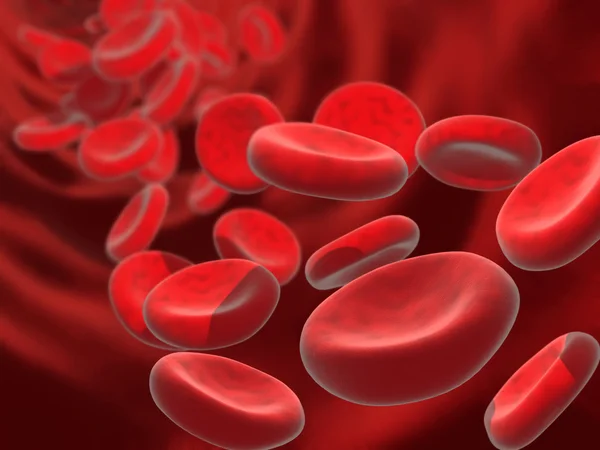 Cellen van het bloed Stockfoto
