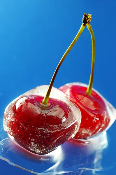 Cereza dulce — Foto de Stock