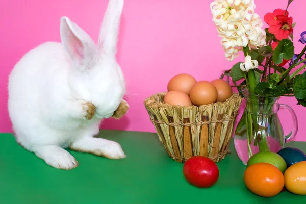 复活节兔子-玩捉迷藏 — 图库照片