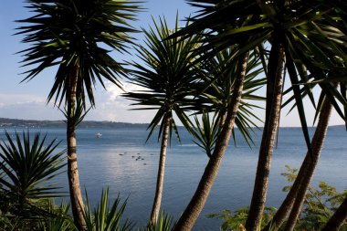 View Of Bracciano Lake clipart