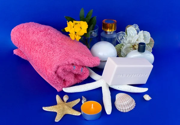 Produtos de banho e cuidados com a pele — Fotografia de Stock