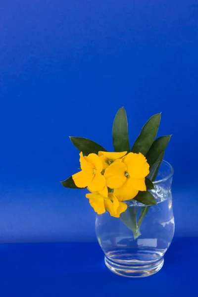 Égei sárgaviola üveg — Stock Fotó
