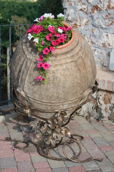 Ceramic Container With Petunias — Stock Photo, Image