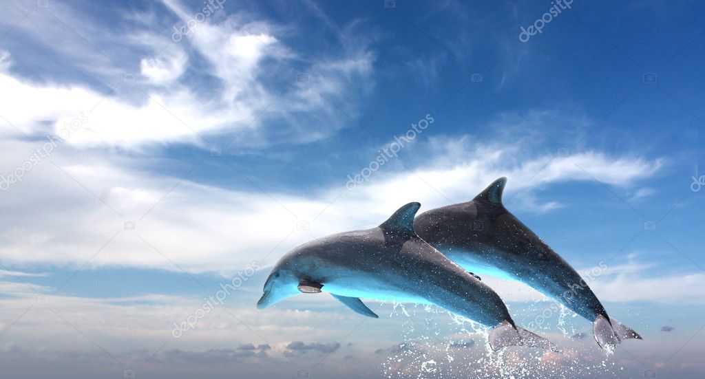 Couple Of Dolphins Jumping Against The Blue Sky