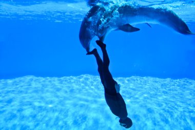 serbest dalış 2010-simone arrigoni kaydında Mondial