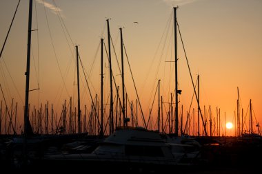 Masts Silhouette At Dusk clipart