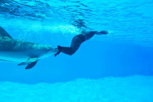 Mondial record in apnea 2010 - simone arrigoni — Foto Stock