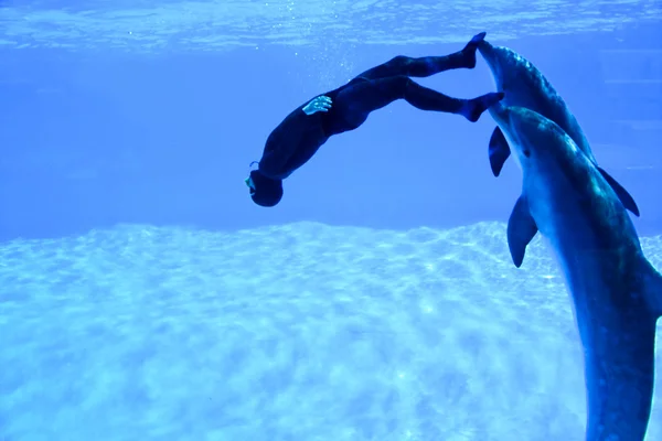 Mondial Record In Freediving - Simone Arrigoni — Stock Photo, Image