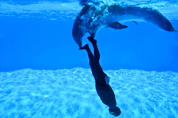 Mondial Record In Freediving 2010-Simone Arrigoni — Stock Photo, Image