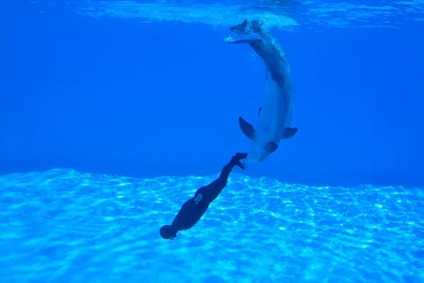 Mondial rekord ve freedivingu simone arrigoni — Stock fotografie
