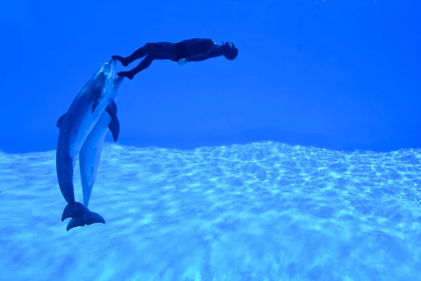 Mondial rekord ve freedivingu 2010 - simone arrigoni — Stock fotografie