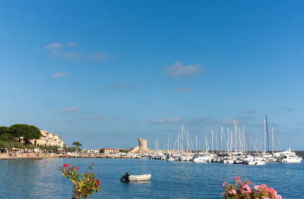 Pequeño puerto en la isla de Elba —  Fotos de Stock