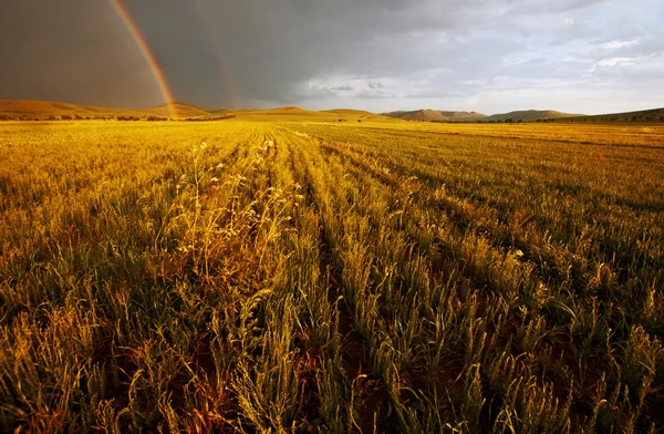 Two rainbow after heavy storm