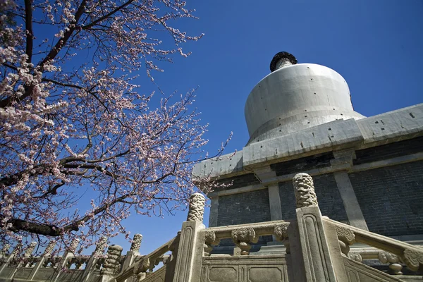Biała pagoda z brzoskwiniowy kwiat — Zdjęcie stockowe