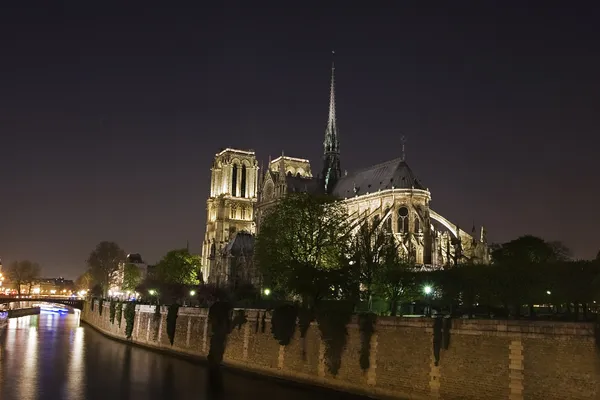 Νυχτερινή άποψη της Νοτρ Νταμ de Παρίσι — Φωτογραφία Αρχείου