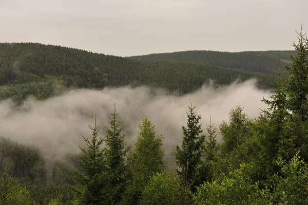 Okertal im Nebel — Stock Photo, Image