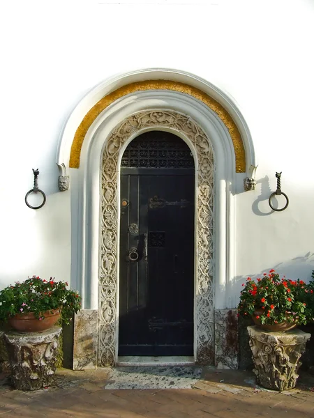 A bejárati ajtó Stock Kép