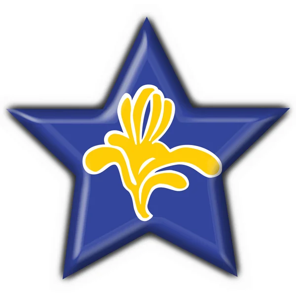 Vlajka tvar hvězdy Brusel (Belgie) — Stock fotografie