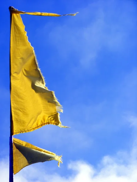 Žlutá vlajka — Stock fotografie