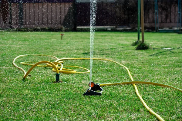 芝生に水をまく — ストック写真