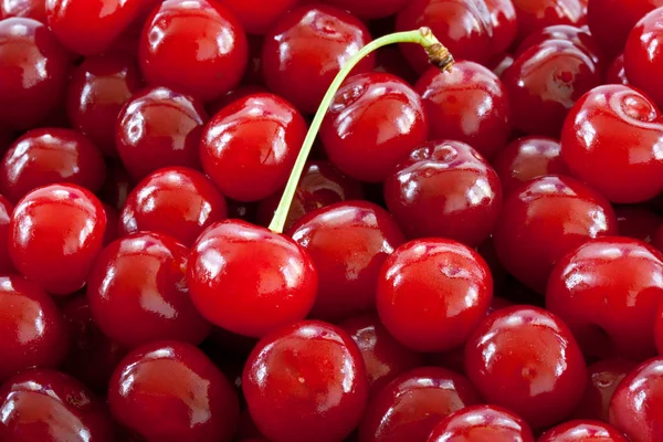 Fruity background — Stock Photo, Image